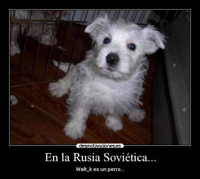 En la Rusia Soviética... -