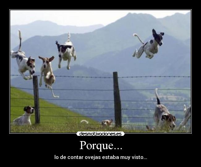 Porque... - 