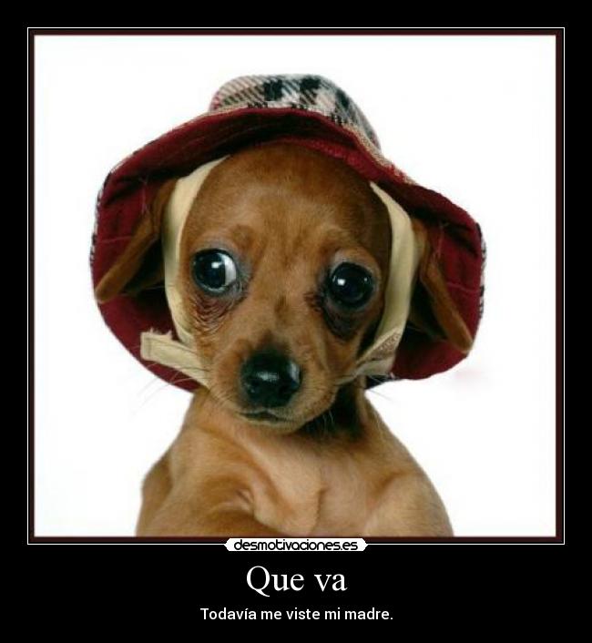 Que va - Todavía me viste mi madre.