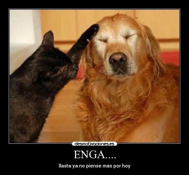 ENGA.... - 