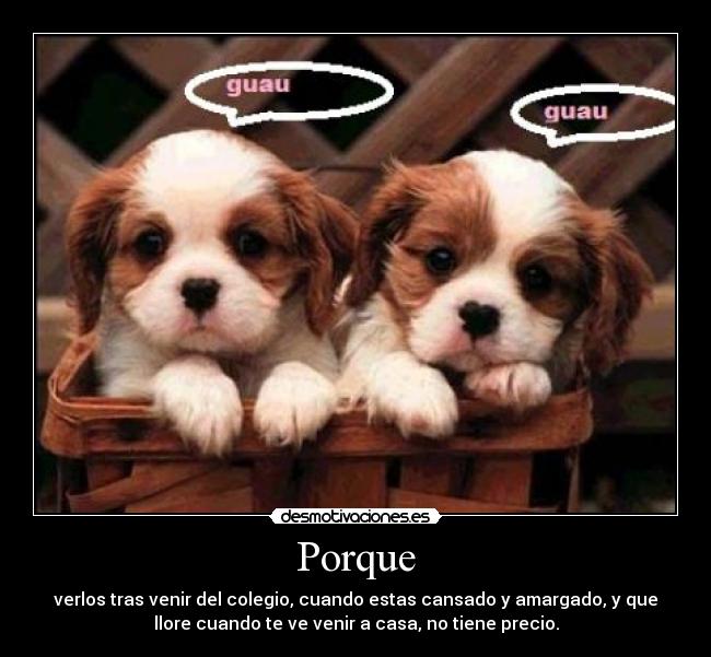 Porque - verlos tras venir del colegio, cuando estas cansado y amargado, y que
llore cuando te ve venir a casa, no tiene precio.