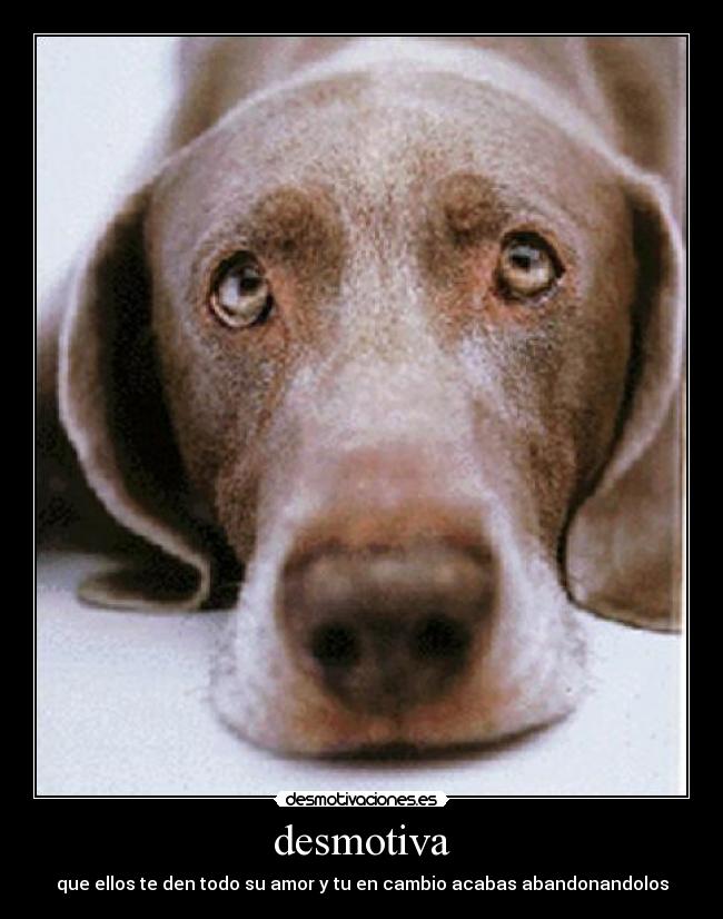 desmotiva -