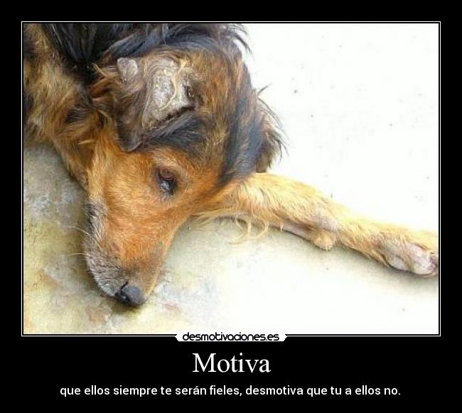 Motiva -