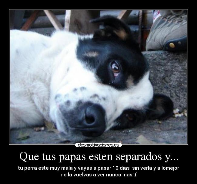 Que tus papas esten separados y... - 