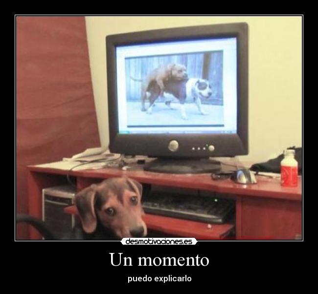 Un momento - puedo explicarlo