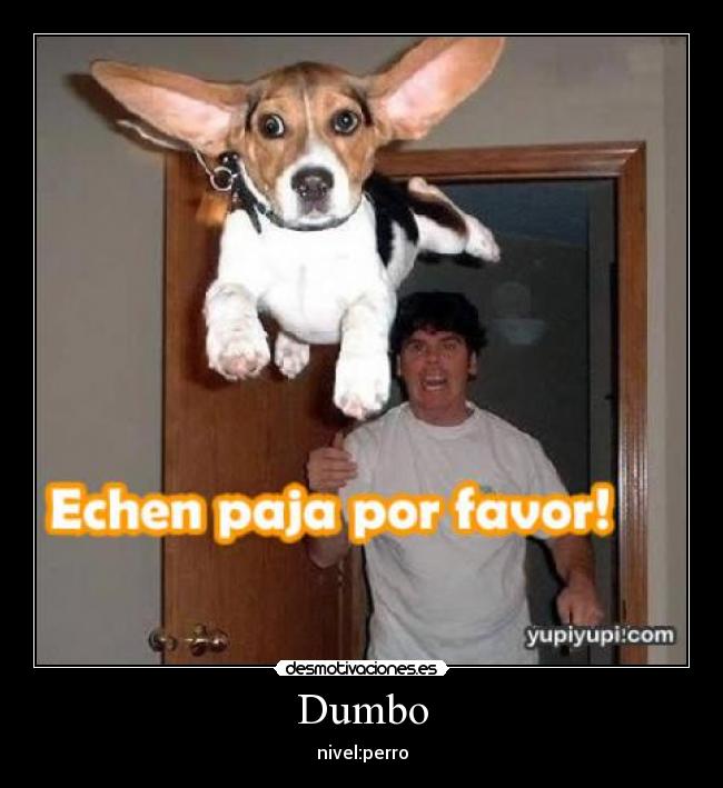 carteles perro desmotivaciones