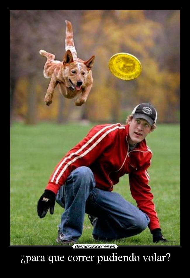 ¿para que correr pudiendo volar? -