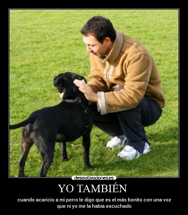 carteles perro caricia voz bonito desmotivaciones