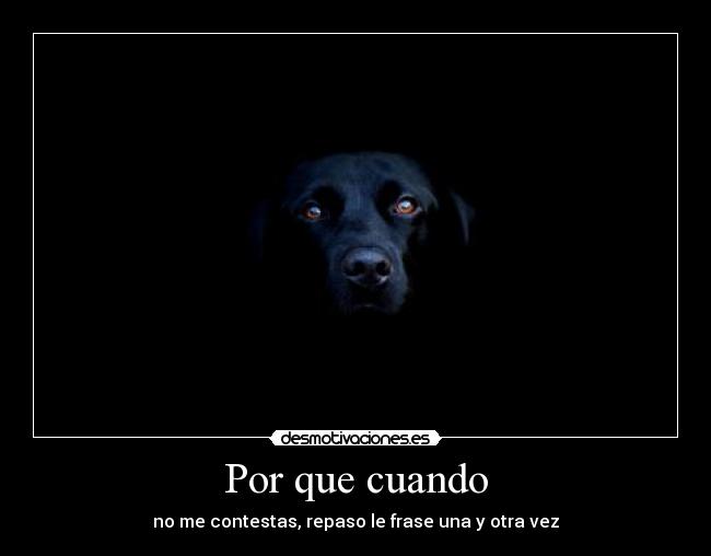 Por que cuando - no me contestas, repaso le frase una y otra vez