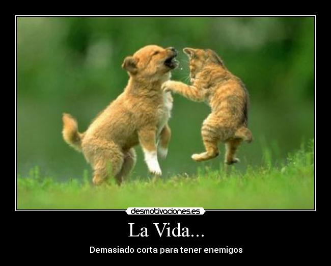 La Vida... -