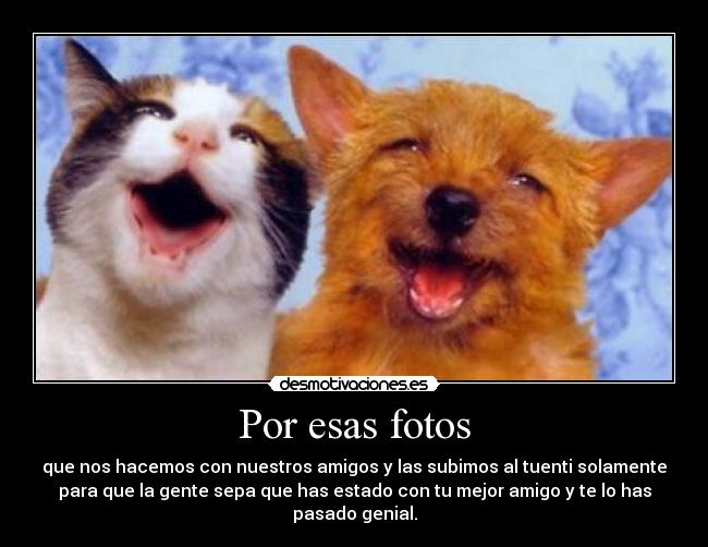 Por esas fotos - que nos hacemos con nuestros amigos y las subimos al tuenti solamente
para que la gente sepa que has estado con tu mejor amigo y te lo has
pasado genial.