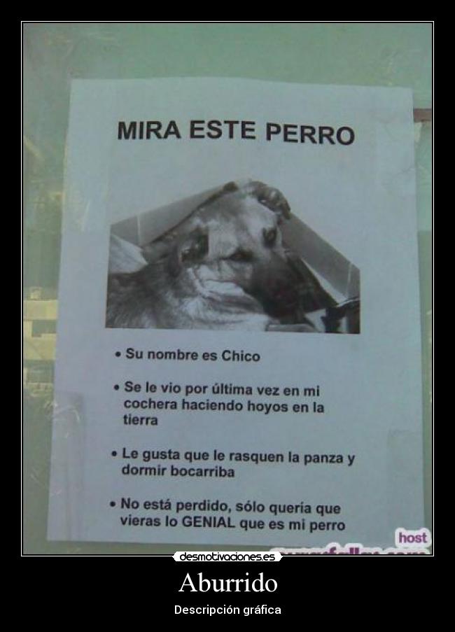 Aburrido - Descripción gráfica