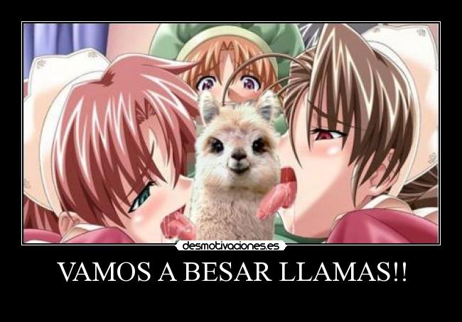 VAMOS A BESAR LLAMAS!! - 