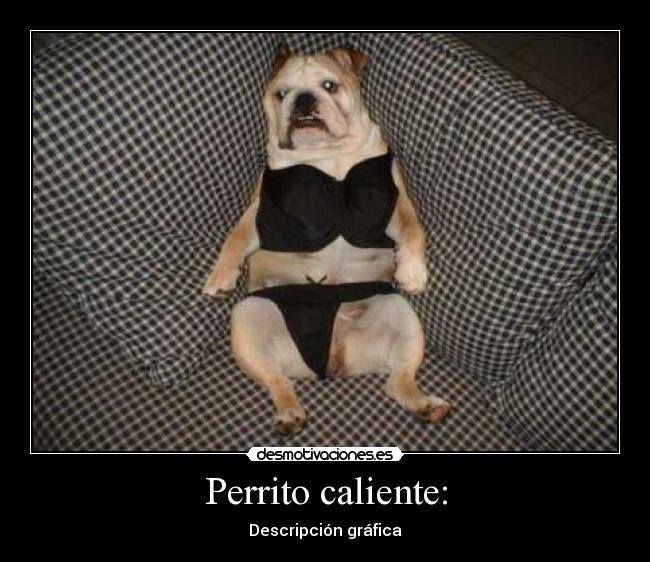 Perrito caliente: - 