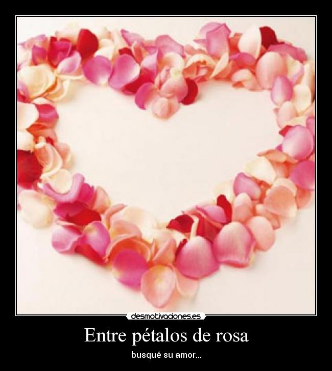 Entre pétalos de rosa - busqué su amor...