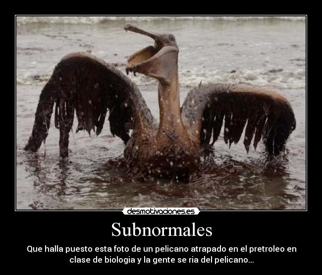 Subnormales -