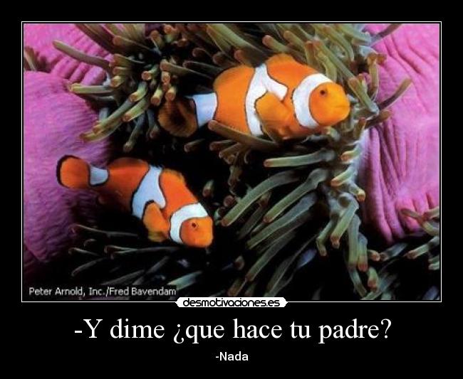 carteles padre peces desmotivaciones