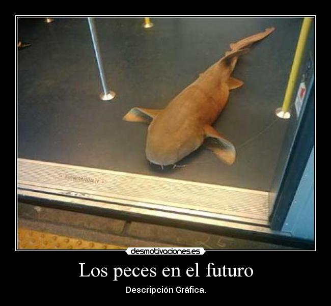Los peces en el futuro - Descripción Gráfica.