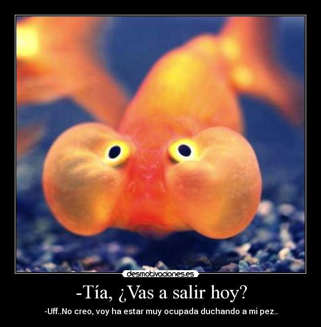 -Tía, ¿Vas a salir hoy? - -Uff..No creo, voy ha estar muy ocupada duchando a mi pez..