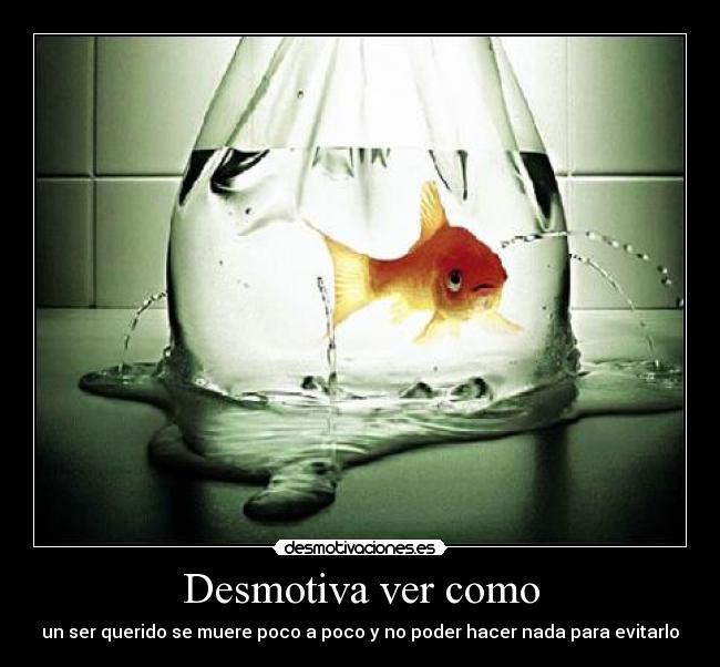 Desmotiva ver como -