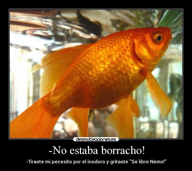 -No estaba borracho! - -Tiraste mi pecesito por el inodoro y gritaste Se libre Nemo!