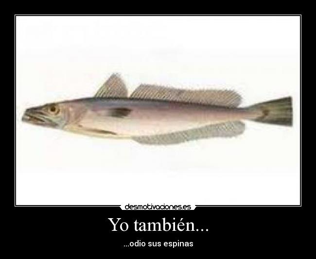 Yo también... - ...odio sus espinas