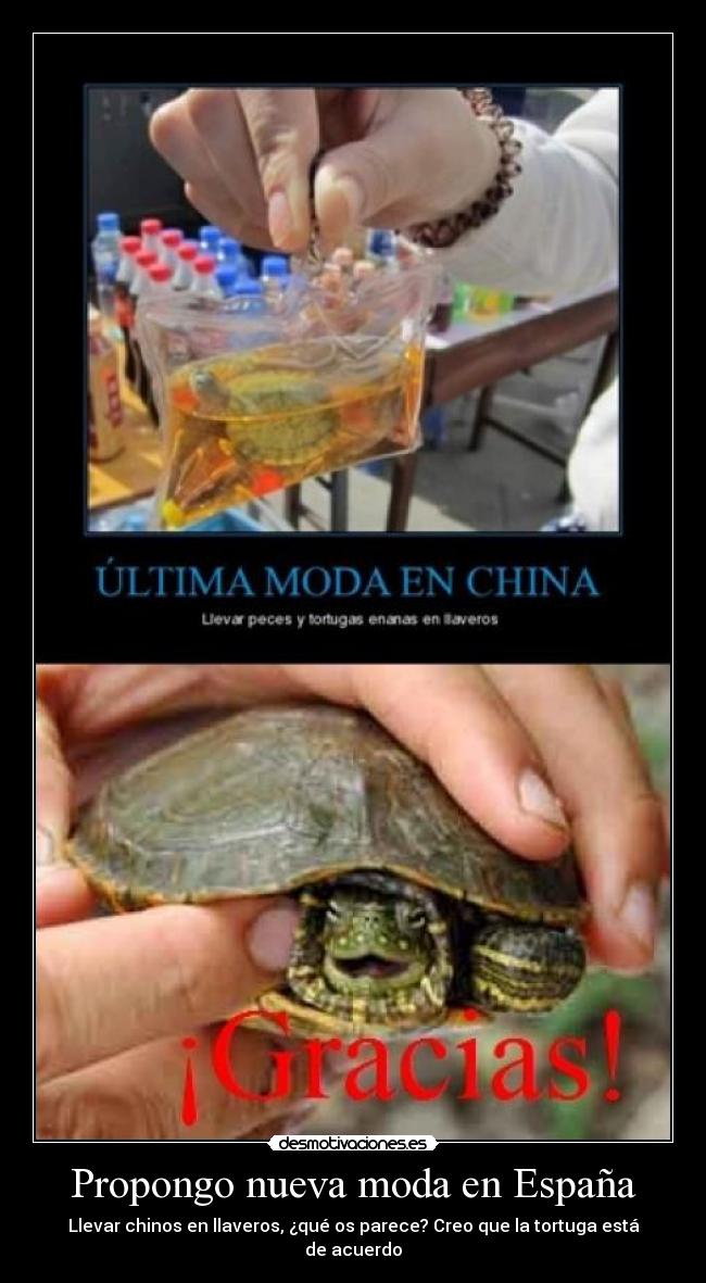 Propongo nueva moda en España - Llevar chinos en llaveros, ¿qué os parece? Creo que la tortuga está de acuerdo