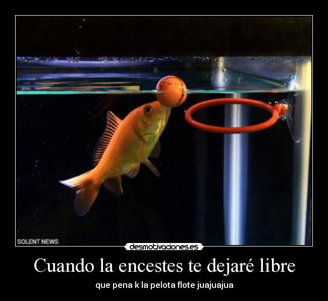 Cuando la encestes te dejaré libre - 
