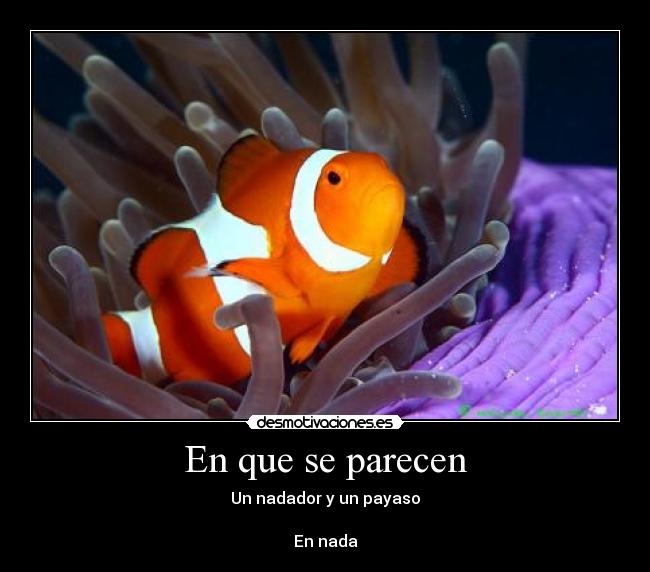 En que se parecen -