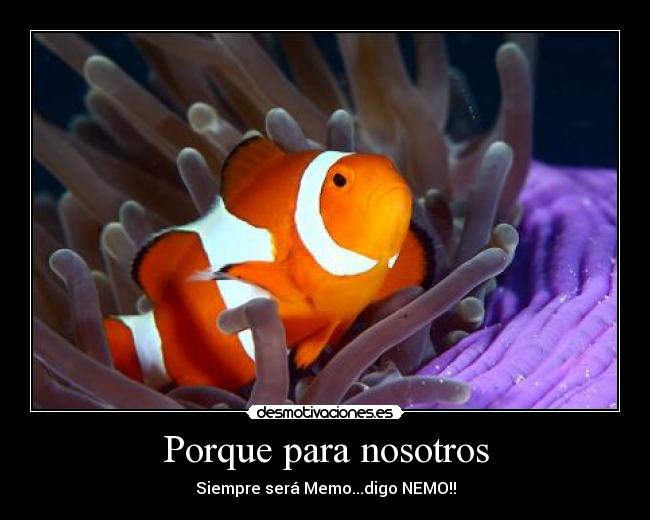 Porque para nosotros - Siempre será Memo...digo NEMO!!