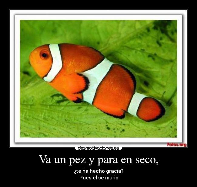 carteles jajaja desmotivaciones