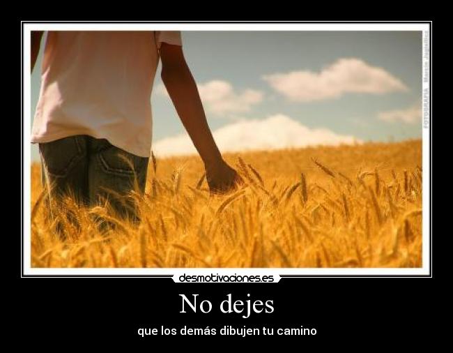No dejes -
