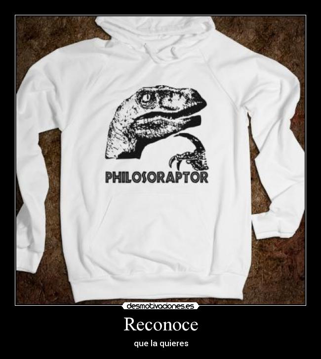 Reconoce - que la quieres