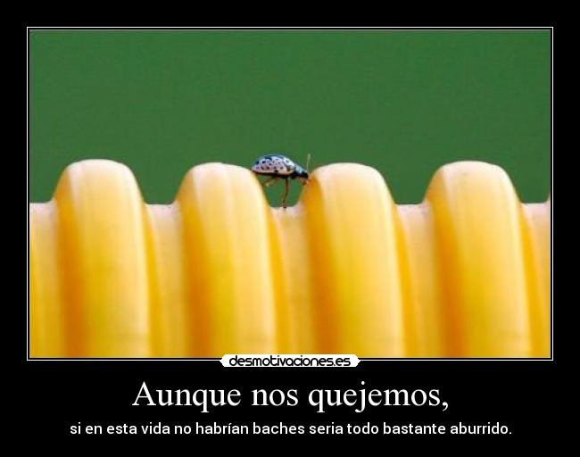 Aunque nos quejemos, - si en esta vida no habrían baches seria todo bastante aburrido.