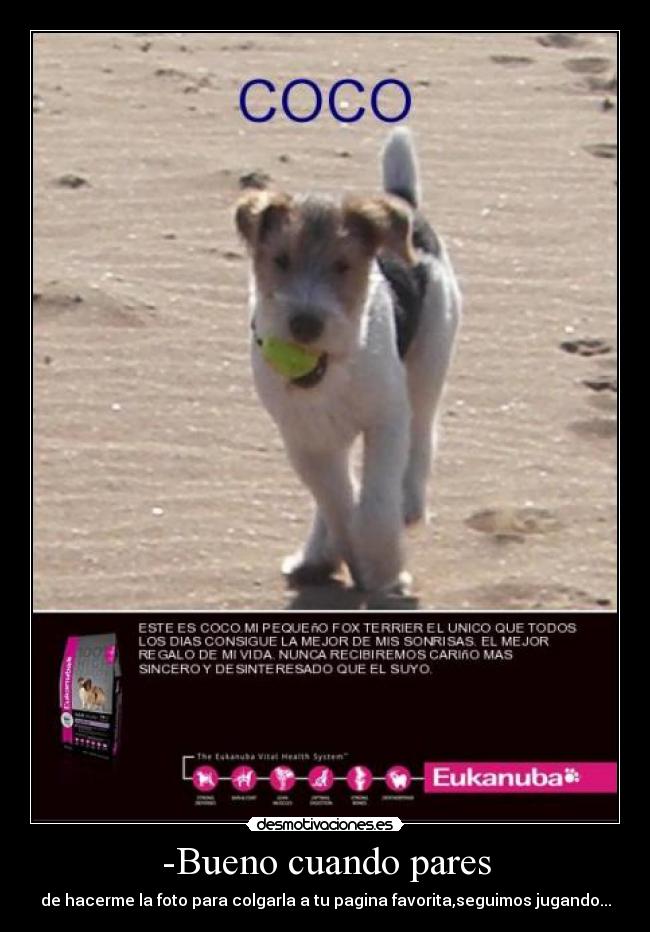 -Bueno cuando pares - de hacerme la foto para colgarla a tu pagina favorita,seguimos jugando...