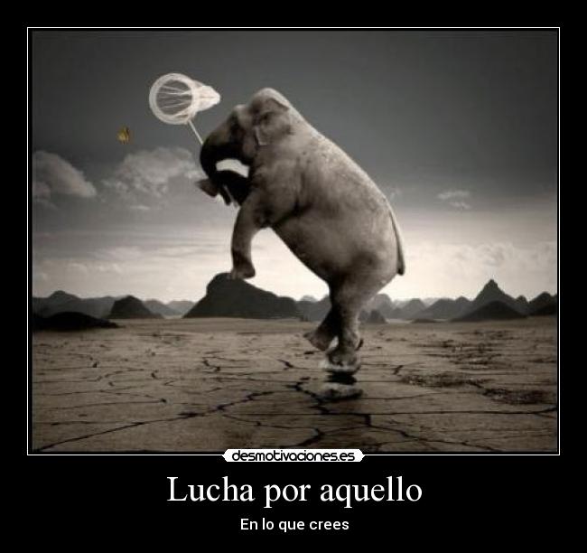 Lucha por aquello - 