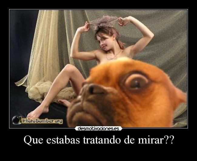 Que estabas tratando de mirar?? - 