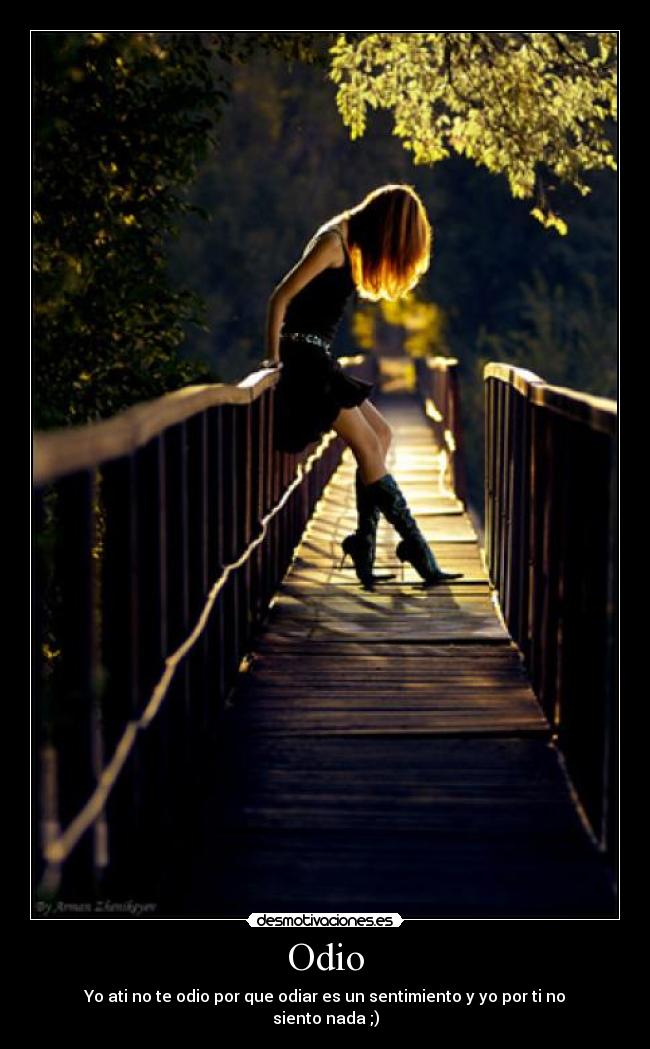 Odio - Yo ati no te odio por que odiar es un sentimiento y yo por ti no siento nada ;)