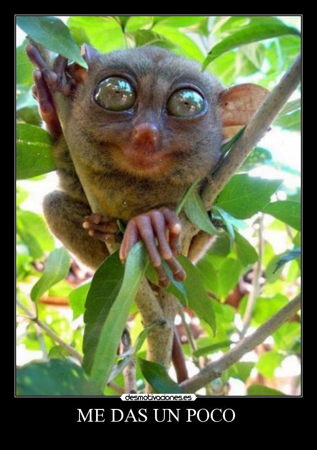 carteles desmotivaciones