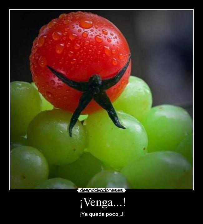 ¡Venga...! -