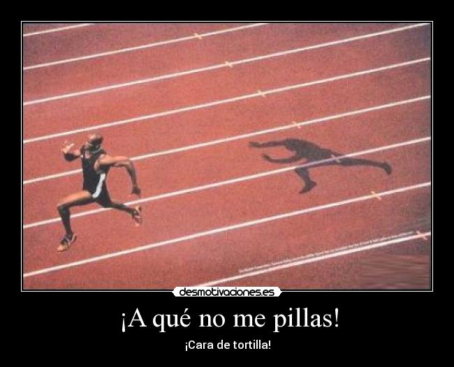 ¡A qué no me pillas! - ¡Cara de tortilla!