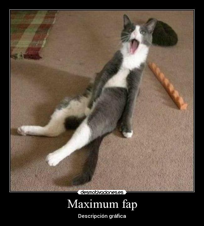 Maximum fap - Descripción gráfica
