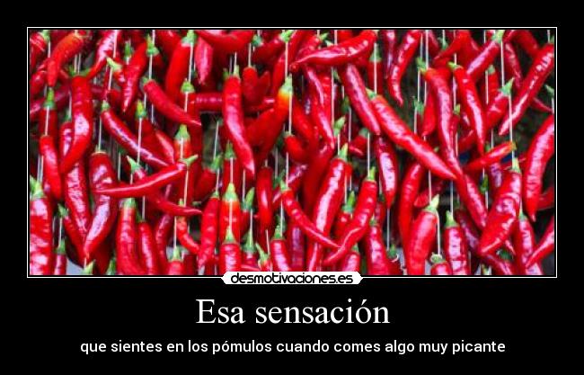 carteles picante desmotivaciones
