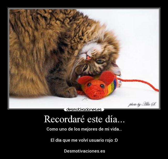 Recordaré este día... - Como uno de los mejores de mi vida...

El día que me volví usuario rojo :D

♥ Desmotivaciones.es ♥