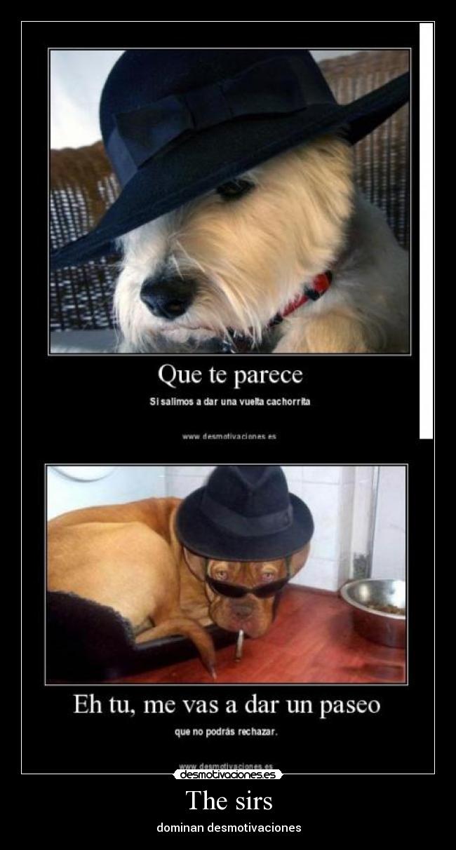 The sirs - dominan desmotivaciones