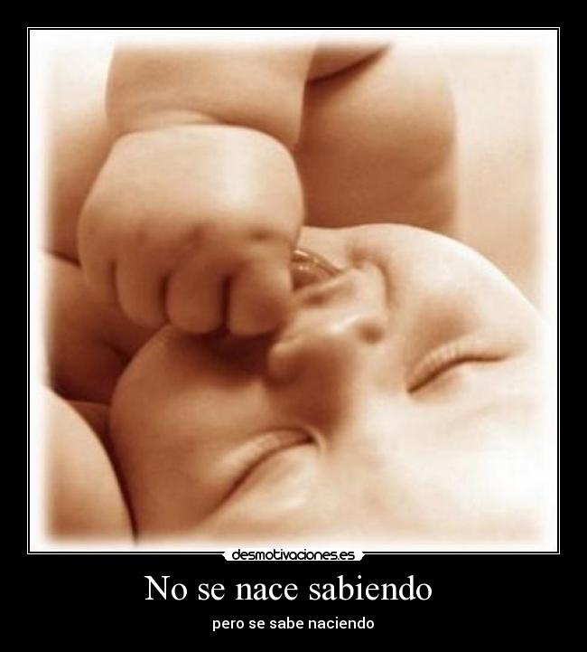No se nace sabiendo - pero se sabe naciendo