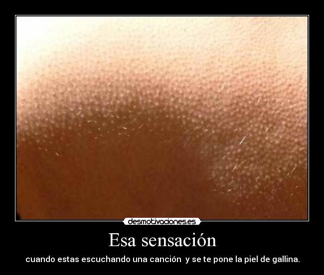 carteles piel gallina desmotivaciones