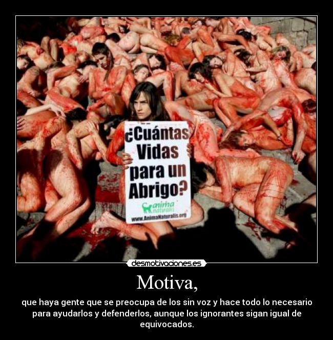 Motiva, - que haya gente que se preocupa de los sin voz y hace todo lo necesario
para ayudarlos y defenderlos, aunque los ignorantes sigan igual de
equivocados.