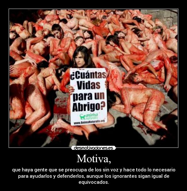 carteles activistas desmotivaciones