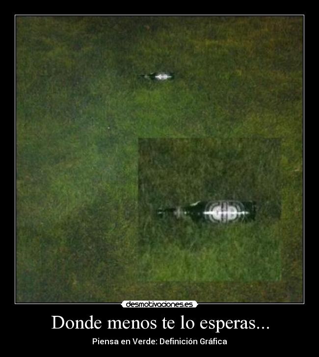 Donde menos te lo esperas... - Piensa en Verde: Definición Gráfica